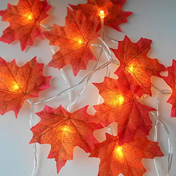 GLOWSPACE 10Led Maple Leaf String Light